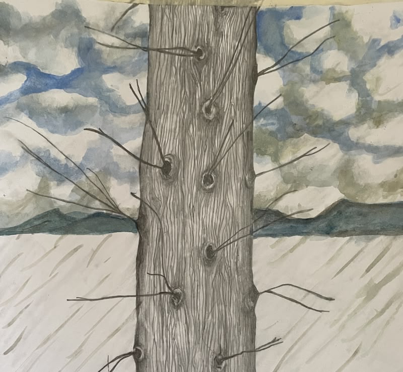 The Benevolence of Trees EP by Anne Hills